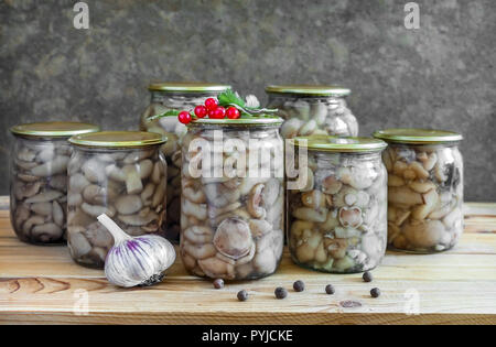Home canning: Funghi sott'olio in vasetti di vetro. Foto Stock