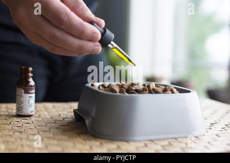 Una persona cbd di spremitura olio su di un piatto di cibo per cani. Foto Stock