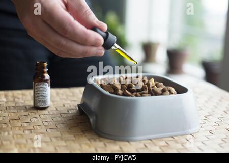 Una persona cbd di spremitura olio su di un piatto di cibo per cani. Foto Stock