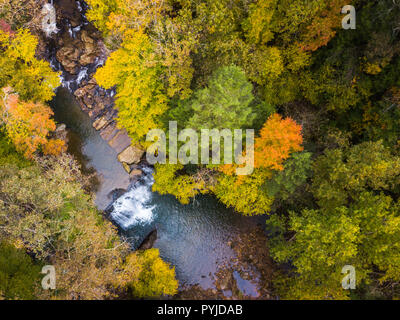 Vista aerea di un Bosco in autunno con colorati cambiando fogliame nei dintorni di un ruscello e di una cascata. Foto Stock