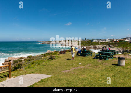 Whale Watching in Hermanus, Sud Africa Foto Stock