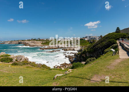 Whale Watching in Hermanus, Sud Africa Foto Stock