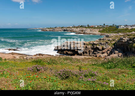 Whale Watching in Hermanus, Sud Africa Foto Stock