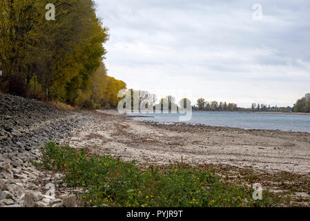 Il fiume Reno tra Ludwigshafen e Mannheim, Germania, 28 ottobre 2018. Un estate secca e una continua siccità hanno portato il fiume alla storica bassi livelli, causando un grave ostacolo per la navigazione commerciale sul fiume. Credito: Philipp Zechner/Alamy Live News Foto Stock