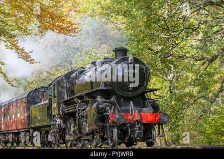 Kidderminster, Regno Unito. 28 ottobre, 2018. Regno Unito: meteo con il glorioso sole autunnale in abbondante offerta oggi, British locomotive a vapore in Severn Valley Railway linea Heritage sono una vera delizia per gli occhi nella luce solare pezzata, passando attraverso la splendida, autunno, Worcestershire campagna. Credito: Lee Hudson/Alamy Live News Foto Stock