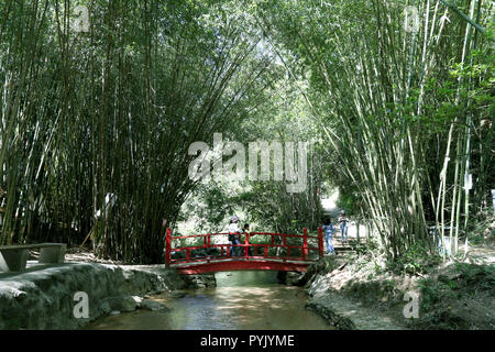 In Guangzhou, la Cina della provincia di Guangdong. 28 ott 2018. Turisti visitano la montagna Tianzi cascata scenic area in Qingyuan, Cina del sud della provincia di Guangdong, 28 ottobre 2018. Credito: Zhang Jiayang/Xinhua/Alamy Live News Foto Stock