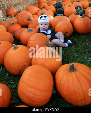 Los Angeles, Stati Uniti d'America. 28 ott 2018. Un bambino assiste le attività del Festival di zucca celebrazione che si tiene a Kidspace il Museo dei Bambini di Los Angeles, Stati Uniti, 28 ottobre 2018. Credito: Li Ying/Xinhua/Alamy Live News Foto Stock