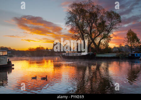 Rufford, Burscough, Preston, Lancashire, Regno Unito. 29 ott 2018. Regno Unito Meteo. Un freddo e diffuso il gelo ma molta luce del sole di entrare per houseboats residenti presso il St Mary's Marina, situato in una bellissima zona tranquilla di Rufford ramo del Leeds - Liverpool Canal. Credito: MediaWorldImages/Alamy Live News Foto Stock