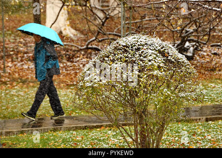 Changchun, la Cina della provincia di Jilin. 29 ott 2018. Un uomo cammina nel parco Xinghuacun durante una nevicata in Changchun, a nord-est della Cina di provincia di Jilin, Ottobre 29, 2018. Credito: Zhang Nan/Xinhua/Alamy Live News Foto Stock