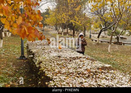 Changchun, la Cina della provincia di Jilin. 29 ott 2018. Una donna di passeggiate nel parco Xinghuacun durante una nevicata in Changchun, a nord-est della Cina di provincia di Jilin, Ottobre 29, 2018. Credito: Zhang Nan/Xinhua/Alamy Live News Foto Stock