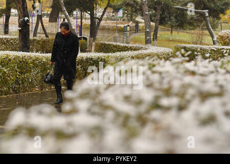 Changchun, la Cina della provincia di Jilin. 29 ott 2018. Una donna di passeggiate nel parco Xinghuacun durante una nevicata in Changchun, a nord-est della Cina di provincia di Jilin, Ottobre 29, 2018. Credito: Zhang Nan/Xinhua/Alamy Live News Foto Stock