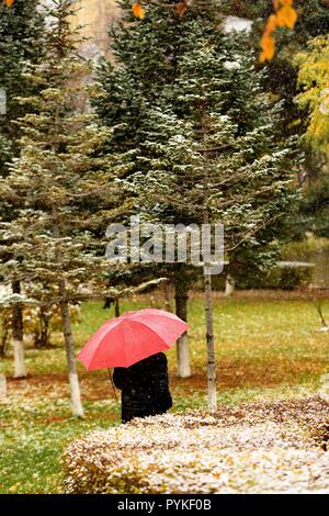 Changchun, la Cina della provincia di Jilin. 29 ott 2018. Un cittadino di passeggiate nel parco Xinghuacun durante una nevicata in Changchun, a nord-est della Cina di provincia di Jilin, Ottobre 29, 2018. Credito: Zhang Nan/Xinhua/Alamy Live News Foto Stock