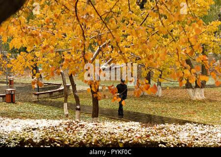 Changchun, la Cina della provincia di Jilin. 29 ott 2018. Un uomo cammina nel parco Xinghuacun durante una nevicata in Changchun, a nord-est della Cina di provincia di Jilin, Ottobre 29, 2018. Credito: Zhang Nan/Xinhua/Alamy Live News Foto Stock