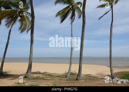 Korou, Francia. Xix oct, 2018. Le palme e la sabbia può essere visto sulla spiaggia di Kourou nella Guyana francese. Credito: Janne Kieselbach/dpa/Alamy Live News Foto Stock