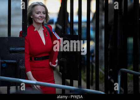 Londra, Regno Unito. Il 29 ottobre 2018. Liz Truss arriva per una riunione del gabinetto in 10 Downing Street davanti a Philip Hammond, Cancelliere dello Scacchiere, presentando il suo bilancio d'autunno. Credito: Stephen Chung / Alamy Live News Foto Stock