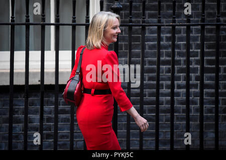 Londra, Regno Unito. Il 29 ottobre 2018. Liz Truss arriva per una riunione del gabinetto in 10 Downing Street davanti a Philip Hammond, Cancelliere dello Scacchiere, presentando il suo bilancio d'autunno. Credito: Stephen Chung / Alamy Live News Foto Stock
