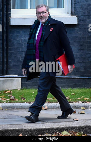 Londra, Regno Unito. Il 29 ottobre 2018. David Mundell arriva per una riunione del gabinetto in 10 Downing Street davanti a Philip Hammond, Cancelliere dello Scacchiere, presentando il suo bilancio d'autunno. Credito: Stephen Chung / Alamy Live News Foto Stock