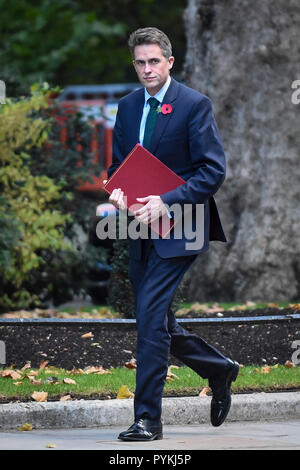 Londra, Regno Unito. Il 29 ottobre 2018. arriva per una riunione del gabinetto in 10 Downing Street davanti a Philip Hammond, Cancelliere dello Scacchiere, presentando il suo bilancio d'autunno. Credito: Stephen Chung / Alamy Live News Foto Stock