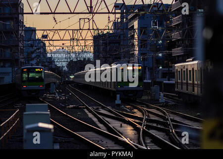 Mt.Fuji e Keio treno linea di sera, vista dalla stazione Sasazuka, Shibuya-Ku Tokyo, Giappone Foto Stock