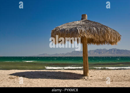 Palapa a Playa El Buenaventura al Golfo di California (Mare di Cortez), Bahia Concepcion, Baja California Sur, Messico Foto Stock