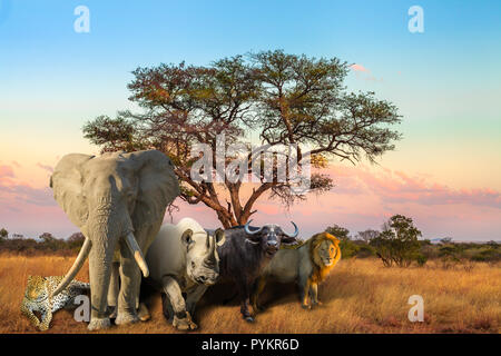 African Big Five: Leopard, elefante, il rinoceronte nero, Buffalo e leone nella savana paesaggio alla luce del tramonto. Scena di safari con animali selvatici. Sfondo della fauna selvatica. Foto Stock