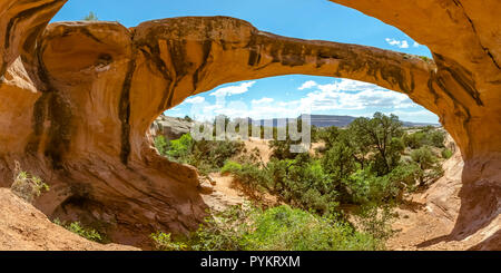 Uranio Arch Arches National Park in Moab Utah Foto Stock