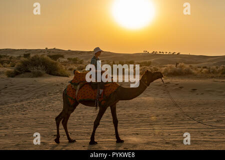 Il pilota del cammello nel deserto di Sam, vicino a Jaisalmer, Rajasthan, India Foto Stock