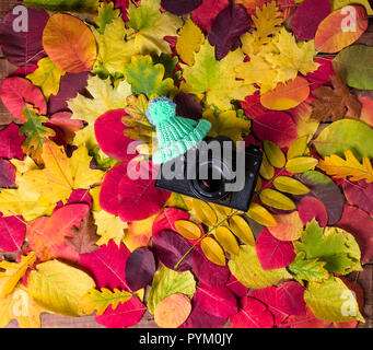 Vecchia fotocamera retrò su vintage di tavole di legno sfondo astratto con foglie di autunno Foto Stock