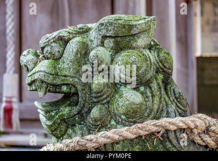 Lion-dog, o komainu, presso un santuario shintoista a Kanazawa, Giappone. Queste statue tradizionali sono visti in coppie nella maggior parte dei santuari e sono destinati a ward off Foto Stock