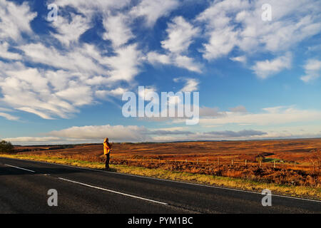 Una donna sguardi sulla brughiera presso il North York Moors nel North Yorkshire, Inghilterra, Regno Unito su una luminosa giornata autunnale Foto Stock