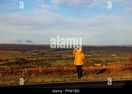 Una donna sguardi sulla brughiera presso il North York Moors nel North Yorkshire, Inghilterra, Regno Unito su una luminosa giornata autunnale Foto Stock