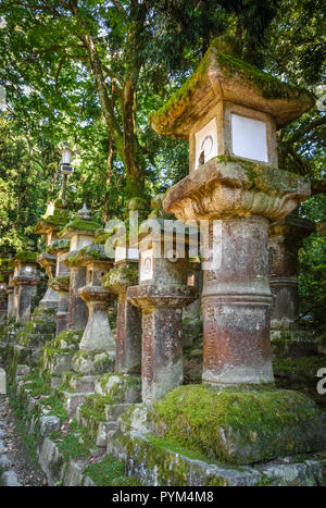 Santuario Kasuga-Taisha lanterne righe, Parco di Nara, Giappone Foto Stock