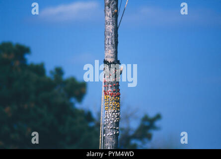 Il cerimoniale Sioux sun-pole decorazione, Black Hills, South Dakota. Fotografia Foto Stock