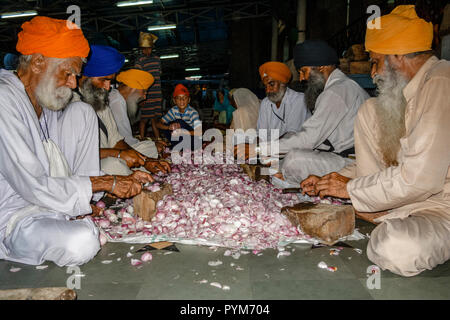 Cibo per tutti i pellegrini viene preparato da volontari e serviti nel langar Foto Stock