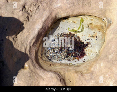 Un bel po' di rock pool, con acqua cristallina, che può essere trovato sulle sponde dell'isola di Arran nel Firth of Clyde in Scozia. Foto Stock