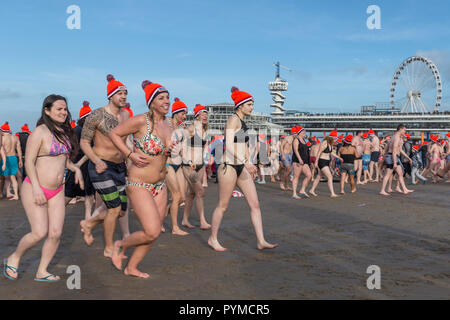 SCHEVENINGEN, 1 gennaio 2018 - Gruppo di colleghe olandesi tornando a cambiare camera dopo il primo anno nuovo tuffo nel gelido Nord acqua di mare, il Nether Foto Stock