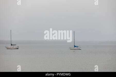Barche a vela sui posti barca su un nebbioso giorno a Montauk, NY Foto Stock