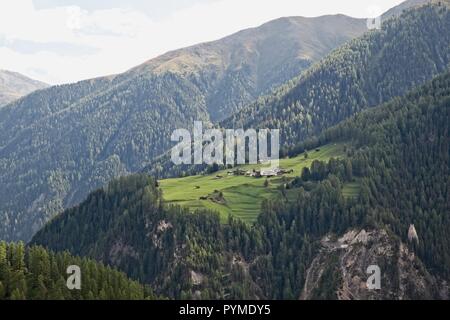 Piste ALPINE, AGRICOLTURA E FORESTE, regione di Davos, in Svizzera Foto Stock