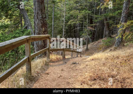 Un guardrail in legno e il percorso a piedi che a bordo di un asciutto grassy bluff portano in discesa attraverso un abete di Douglas foresta (British Columbia). Foto Stock