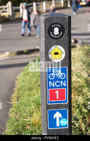 Cartello o un percorso di marcatore sul ciclo nazionale Network NCN route 1 e Inghilterra Coast Path, North East England, Regno Unito Foto Stock