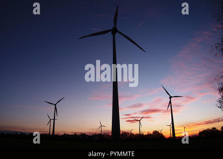 Sunset over Bargerveen, Paesi Bassi Foto Stock