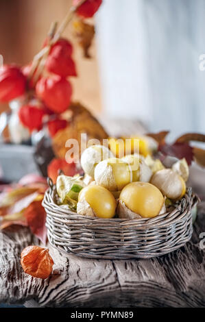 Physalis organico. Rami con frutti di bosco verde, physalis raccolto nel giardino estivo su un tavolo di legno. Foto Stock