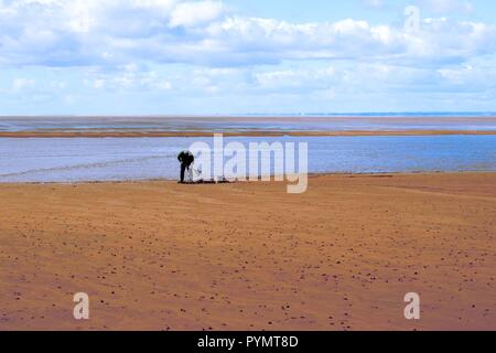 L uomo lo scavo per esche da pesca sulla spiaggia Foto Stock