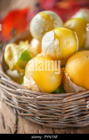 Physalis organico. Rami con frutti di bosco verde, physalis raccolto nel giardino estivo su una tavola di legno Foto Stock