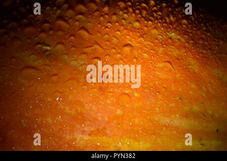 Primo piano di una zucca arancione con gocce d'acqua. Foto Stock