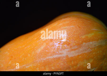 Primo piano di una zucca arancione con gocce d'acqua. Foto Stock