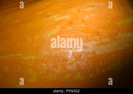 Primo piano di una zucca arancione con gocce d'acqua. Foto Stock