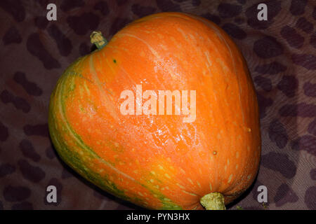 Primo piano di una zucca arancione con gocce d'acqua. Foto Stock