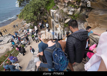 La gente camminare lungo il Bondi a Bronte coast a piedi passato presenta per il 2018 Scultura Di Mare mostra gratuita a Bondi Beach a Sydney in Australia Foto Stock