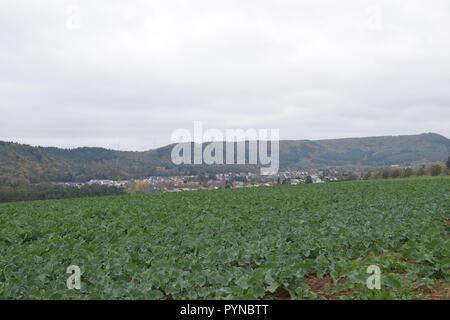 Autunno in Reimsbach nell'anno 2018 visto dalla direzione sud-ovest verso la città. Herbst in Reimsbach in dem Jahr 2018. Foto Stock